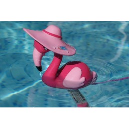 ANTI ALGUE QT 20  5Lt