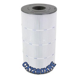 Cartouche de rechange pour filtre SWIMCLEAR C5030