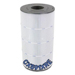 Cartouche de rechange pour filtre SWIMCLEAR C7030