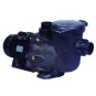 Pompe  Hayward Tri MAX FLO XL 0.75 à 1.50 CV  (400V)dès