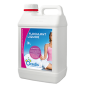 FLOCULANT LIQUIDE 3 Lt